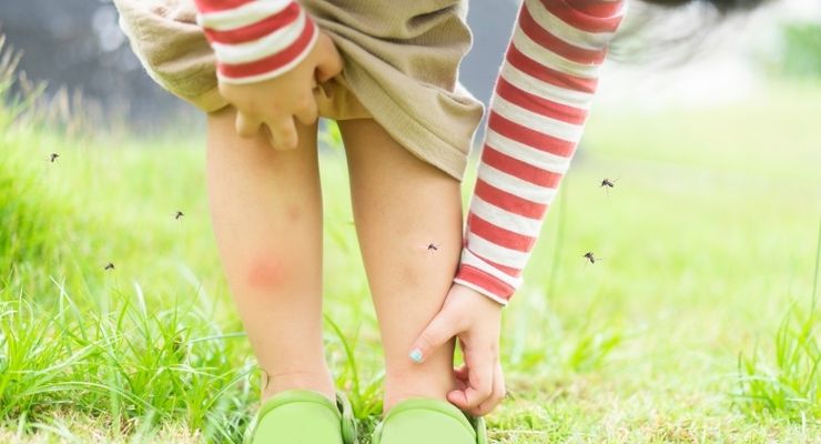 Kenapa Nyamuk Suka Menggigitmu? 3 Kebiasaan yang Jadi Magnet Nyamuk