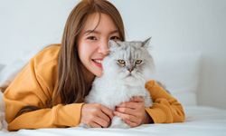 Memelihara Kucing Bisa Mengubah Otak Kita, Mengapa?