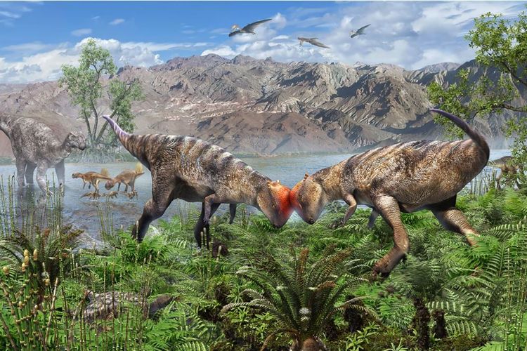 Zavacephale: Dinosaurus Kecil Berkepala Kubah Ditemukan di Mongolia